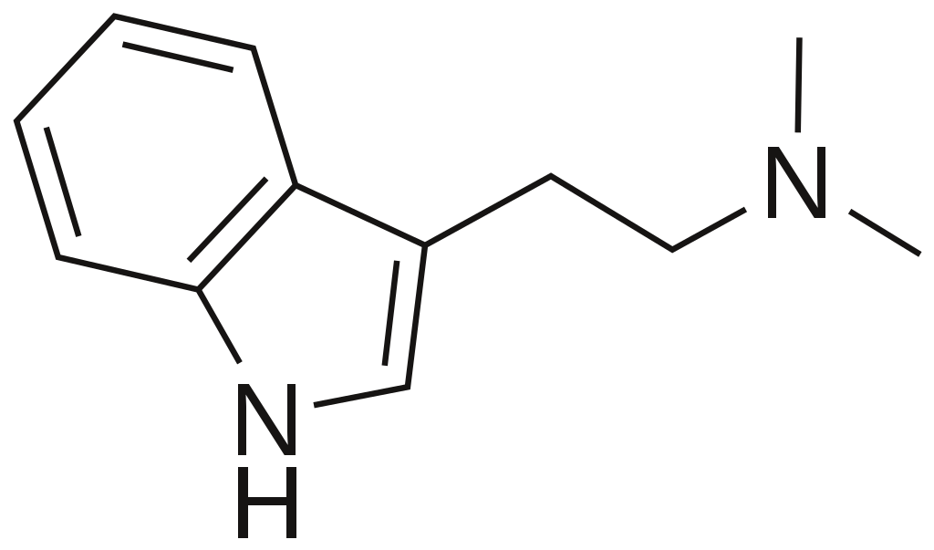 DMT Molecule T-Shirt, Tank, Hoodie