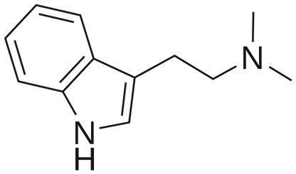 DMT Molecule T-Shirt, Tank, Hoodie