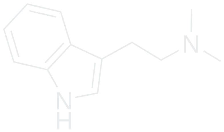 DMT Molecule T-Shirt, Tank, Hoodie