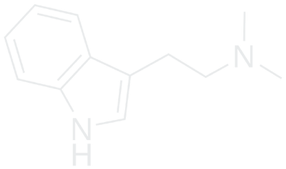 DMT Molecule T-Shirt, Tank, Hoodie