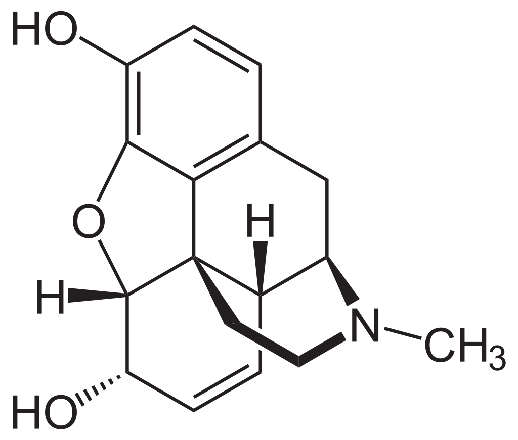 Morphine Molecule T-Shirt, Tank, Hoodie