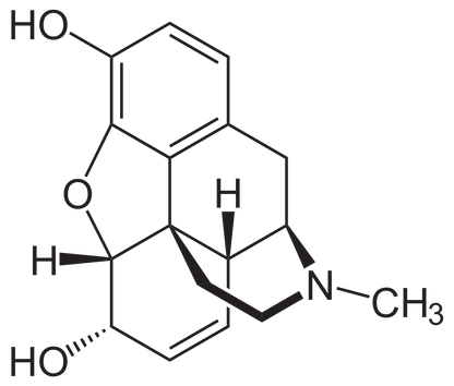 Morphine Molecule T-Shirt, Tank, Hoodie