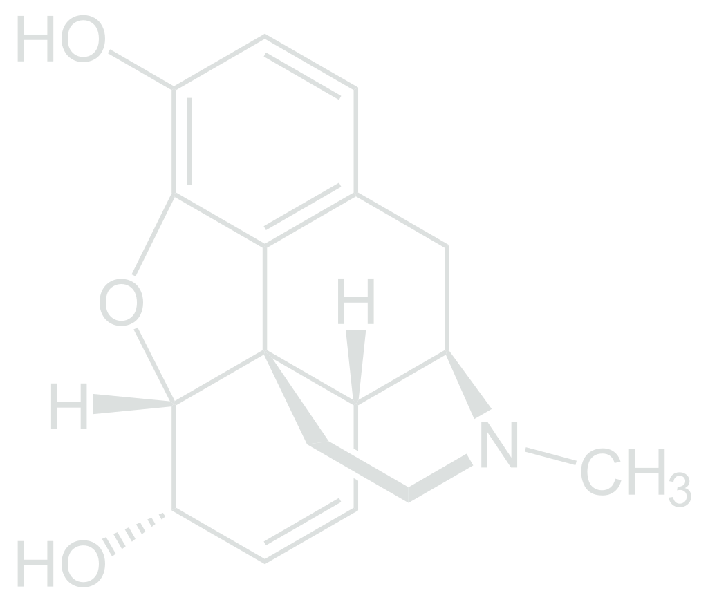 Morphine Molecule T-Shirt, Tank, Hoodie