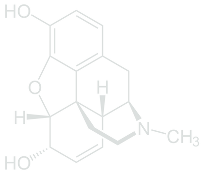 Morphine Molecule T-Shirt, Tank, Hoodie